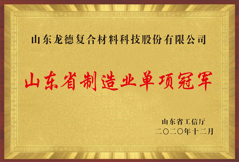 山東省制造業單項冠軍（山東龍德復合材料科技股份有限公司）